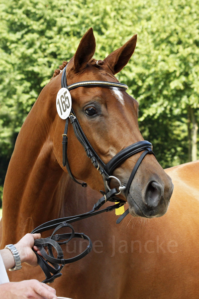 Diadem © Lune Jancke